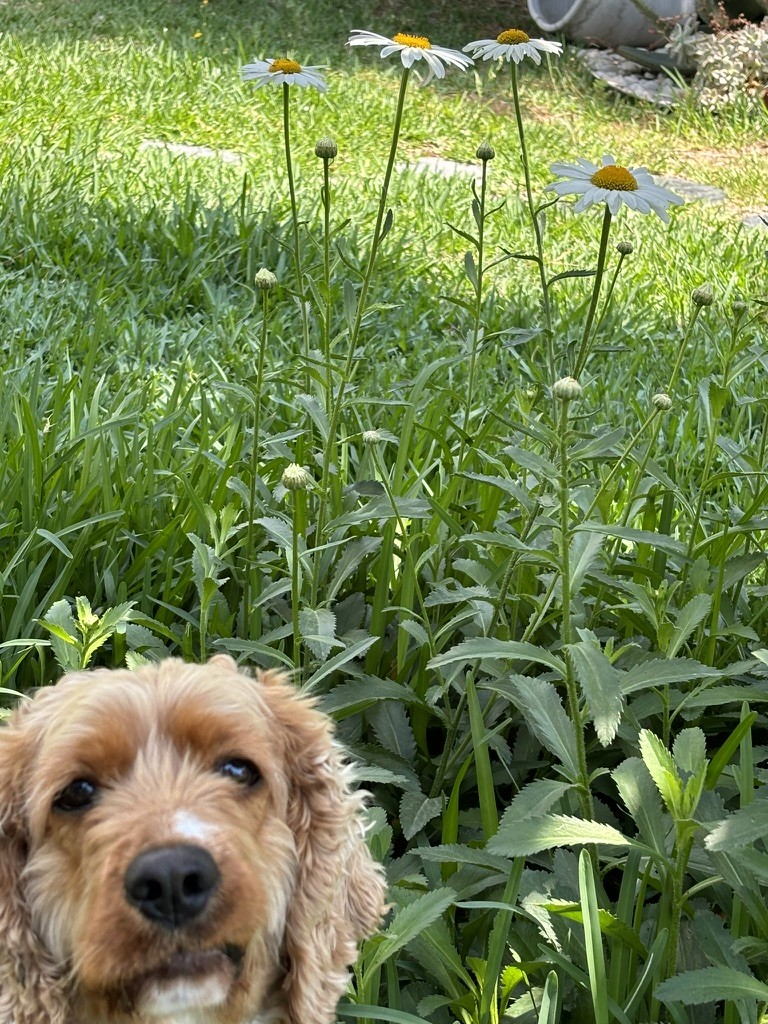 Almond says hi!&nbsp;